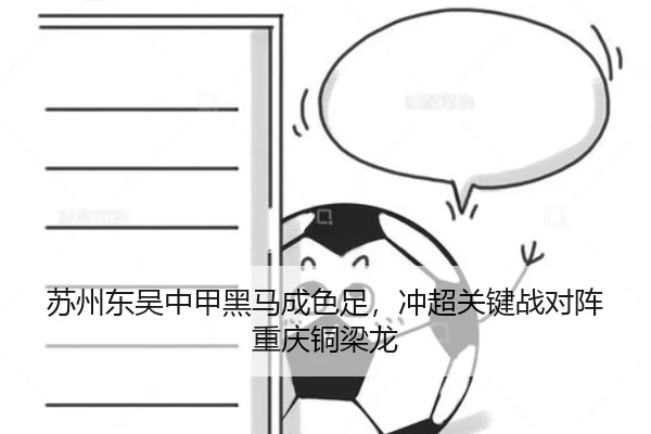 su-zhou-dong-wu-zhong-jia-hei-ma-cheng-se-zu-chong-chao-guan-jian-zhan-dui-zhen-chong-qing-tong-liang-long-2-348.jpg