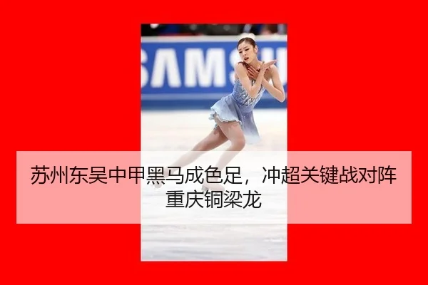 su-zhou-dong-wu-zhong-jia-hei-ma-cheng-se-zu-chong-chao-guan-jian-zhan-dui-zhen-chong-qing-tong-liang-long-3-737.jpg