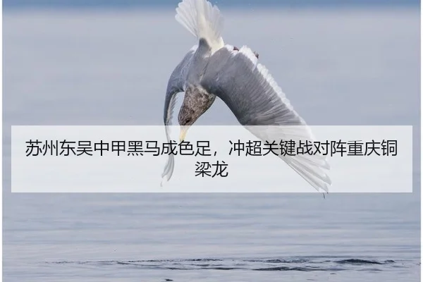 苏州东吴中甲黑马成色足，冲超关键战对阵重庆铜梁龙